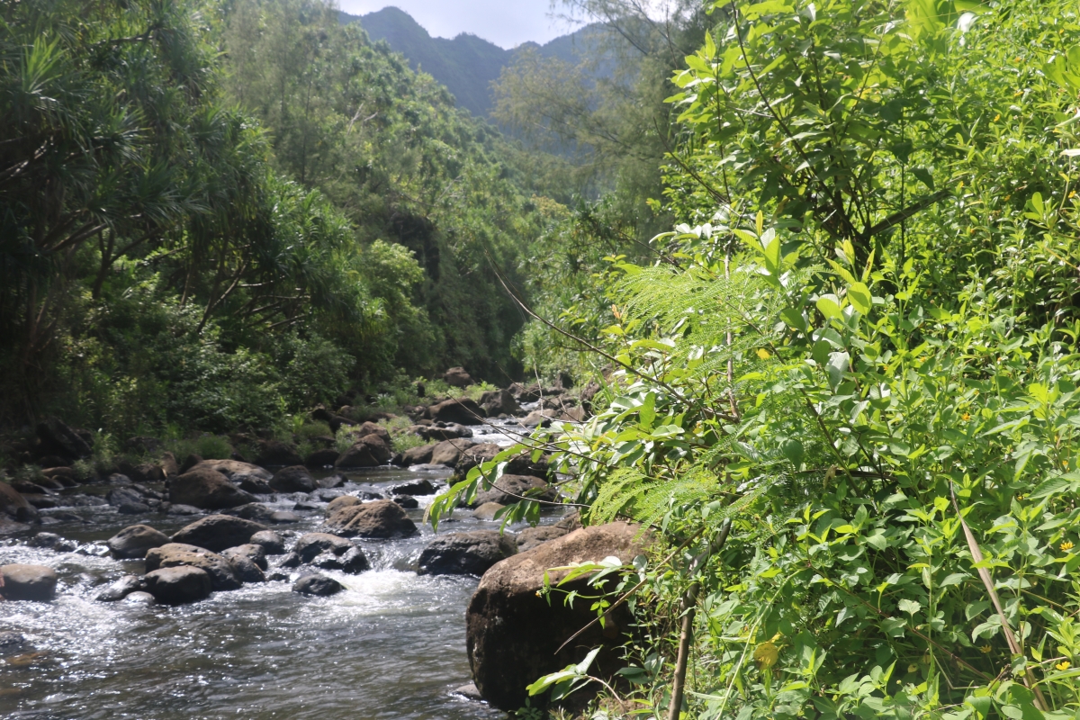 river crossing    